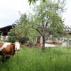 pozarkamence_013.jpg