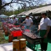 miklavz024.jpg