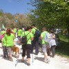 miklavz072.jpg