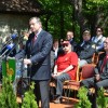 javorovica0067.jpg