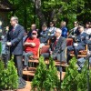 javorovica0061.jpg