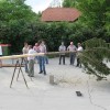 img_0201__custom_.jpg
