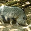muzej025.jpg