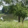 stritovsko_jezero.jpg