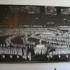 hisacvetja0009.jpg