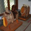 hisacvetja0018.jpg