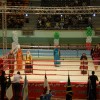 p1010393.jpg