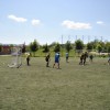 picture_042.jpg