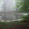 img_9427_000.jpg