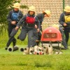 gasilcidolz_094.jpg