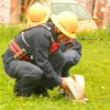 gasilcidolz_119.jpg