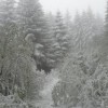 sneg_008.jpg