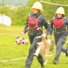 gasilcidolz_098.jpg
