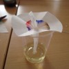 podgrad_005.jpg