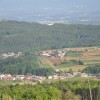 golobinjek_005.jpg