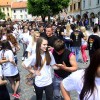 slika_567.jpg
