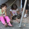 img_6871_000.jpg