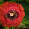 27052012_13.jpg