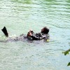 potapljaci_006.jpg
