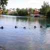 potapljaci_010.jpg