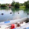 potapljaci_008.jpg