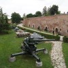 z_025.jpg