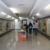 z_055.jpg