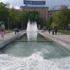 z_017.jpg
