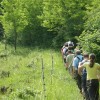 zsc_zbk_20120603_14.jpg