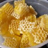 zsc_zbk_20120603_09.jpg