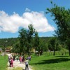 a_njivenski_sadovnjak_205.jpg