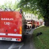 slika_203.jpg