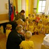 kobacaj016.jpg