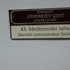 mednarodni_tabor_likovnih_samorastnikov_trebnje_v_radogostu020.jpg