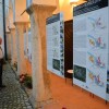 urbanisticno_prostorska_delavnica_sevnica036.jpg