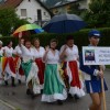 karneval_sevnica_2012_v_dezju059.jpg