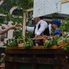 karneval_sevnica_2012_v_dezju100.jpg