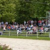 dirke006.jpg