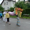 karneval_sevnica_2012_v_dezju066.jpg