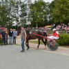 dirke048.jpg