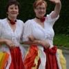 karneval_sevnica_2012_v_dezju061.jpg