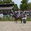 dirke074.jpg