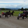 dirke028.jpg