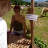 1__srecanje_biodinamikov_slovenije041.jpg