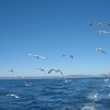 img_1118_000.jpg