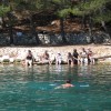 img_1233_000.jpg