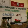 gradis013.jpg