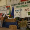 gradis048.jpg