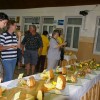 semanji019.jpg
