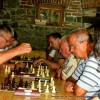 sah_029.jpg